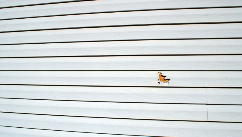 Siding Panel Replacement