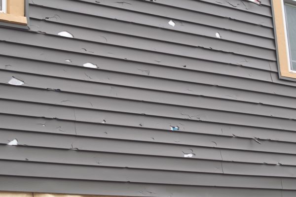 Damaged Siding Replacement in Crystal Lake